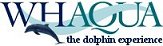 Whaqua - the dolphin experience